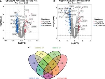 Identification of the hub genes associated with prostate cancer tumorigenesis